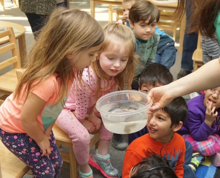 Discovery Child Development Center -  - Poster