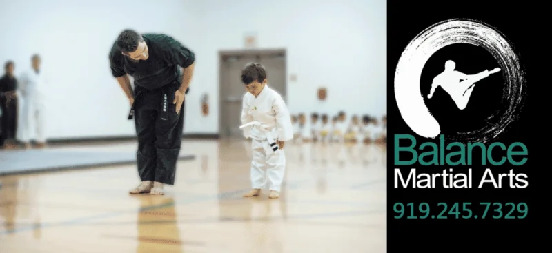 Balance Martial Arts -  - Poster